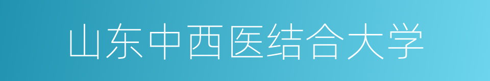 山东中西医结合大学的同义词