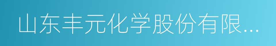 山东丰元化学股份有限公司的同义词
