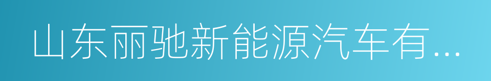 山东丽驰新能源汽车有限公司的同义词