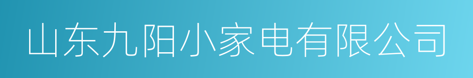 山东九阳小家电有限公司的同义词