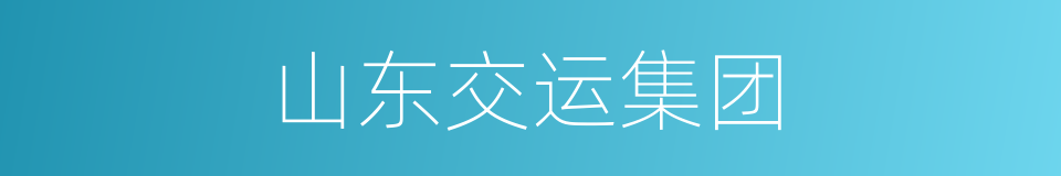 山东交运集团的同义词