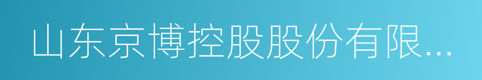 山东京博控股股份有限公司的同义词