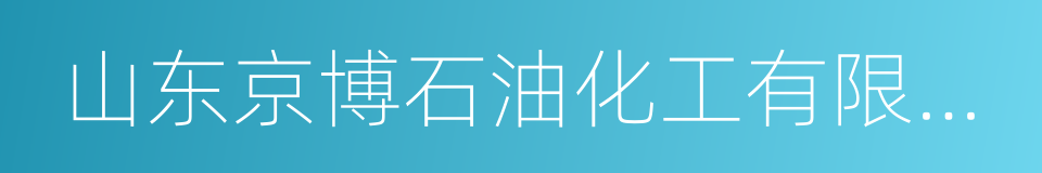 山东京博石油化工有限公司的同义词