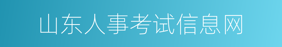 山东人事考试信息网的同义词