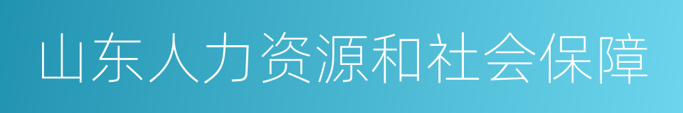 山东人力资源和社会保障的同义词