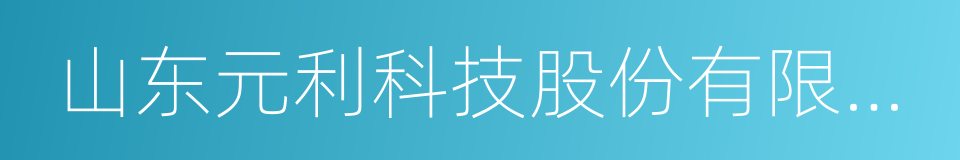 山东元利科技股份有限公司的同义词