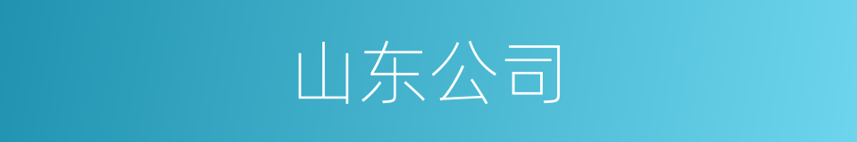 山东公司的同义词