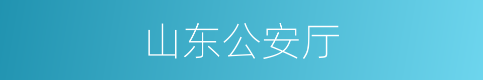 山东公安厅的同义词