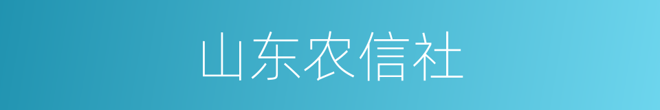 山东农信社的同义词