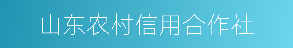 山东农村信用合作社的同义词