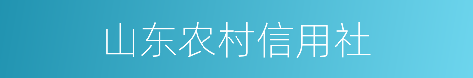 山东农村信用社的同义词