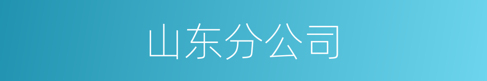 山东分公司的同义词