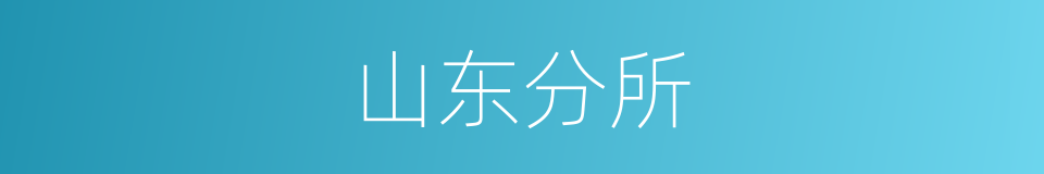 山东分所的同义词
