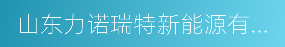 山东力诺瑞特新能源有限公司的同义词