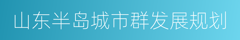 山东半岛城市群发展规划的同义词