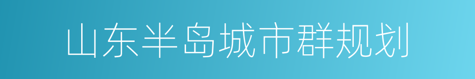 山东半岛城市群规划的同义词