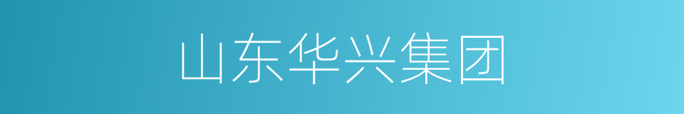 山东华兴集团的同义词