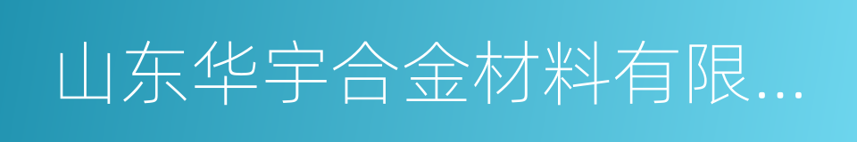 山东华宇合金材料有限公司的同义词