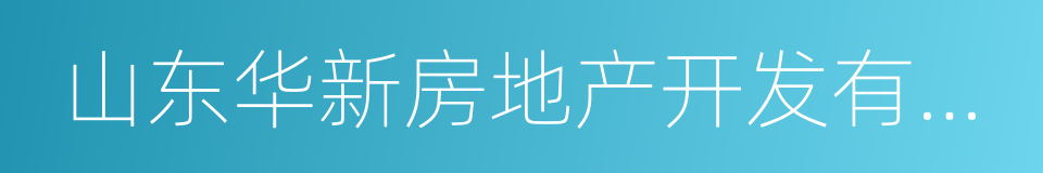 山东华新房地产开发有限公司的同义词