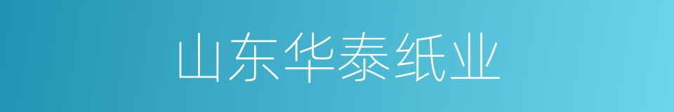 山东华泰纸业的同义词