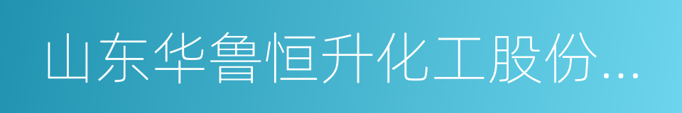 山东华鲁恒升化工股份有限公司的同义词