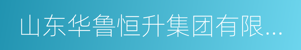 山东华鲁恒升集团有限公司的同义词