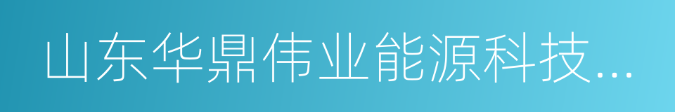 山东华鼎伟业能源科技股份有限公司的同义词