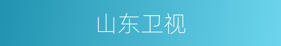 山东卫视的同义词