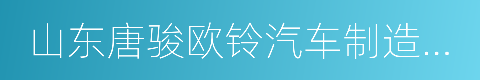 山东唐骏欧铃汽车制造有限公司的同义词