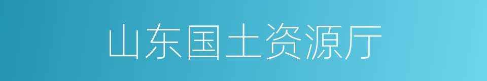 山东国土资源厅的同义词