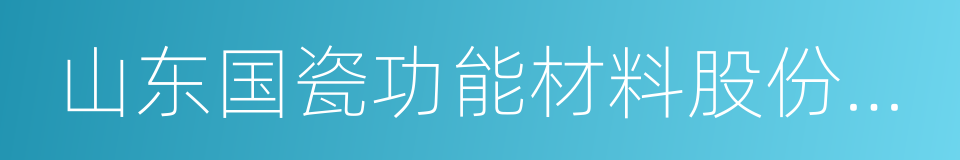 山东国瓷功能材料股份有限公司的同义词