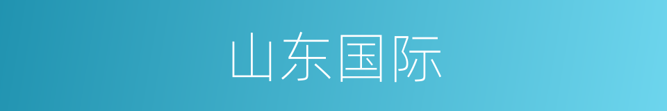 山东国际的同义词