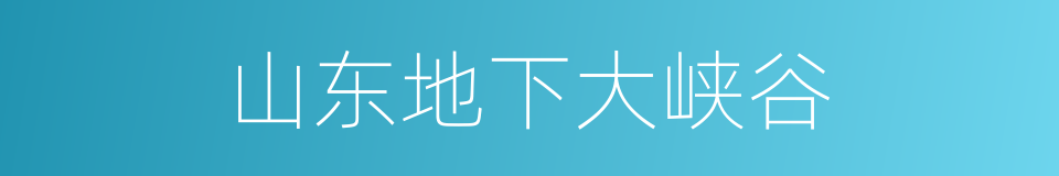 山东地下大峡谷的同义词