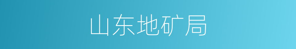 山东地矿局的同义词