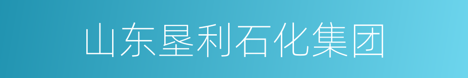 山东垦利石化集团的同义词