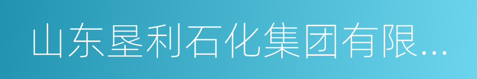 山东垦利石化集团有限公司的同义词