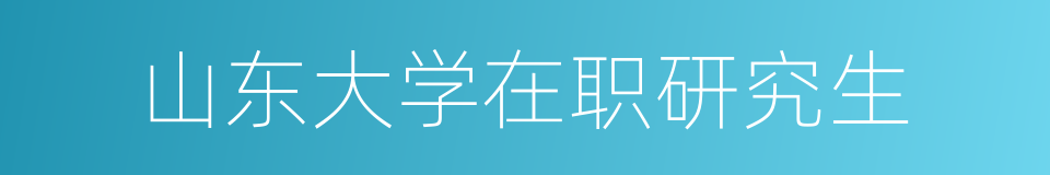 山东大学在职研究生的同义词