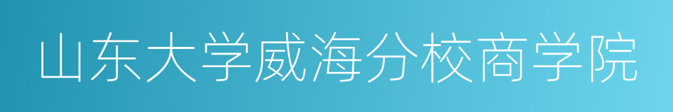 山东大学威海分校商学院的同义词