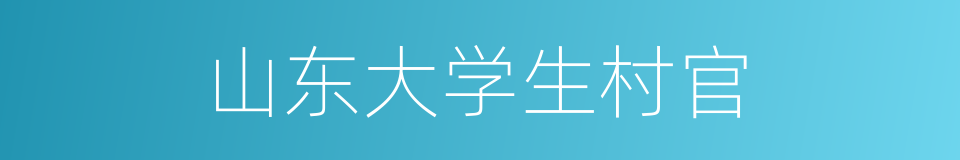 山东大学生村官的同义词