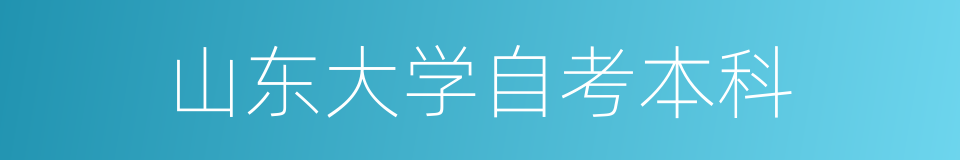 山东大学自考本科的同义词