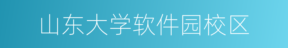 山东大学软件园校区的同义词