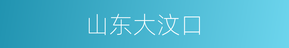 山东大汶口的同义词