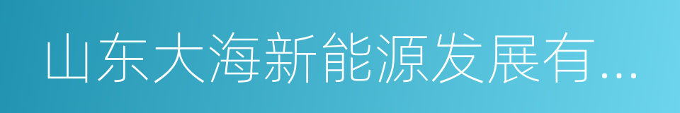 山东大海新能源发展有限公司的同义词