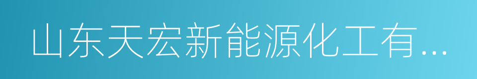 山东天宏新能源化工有限公司的同义词