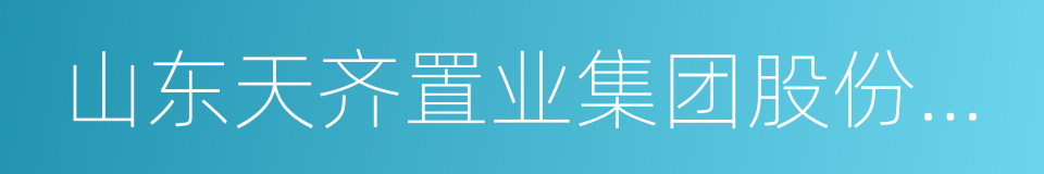 山东天齐置业集团股份有限公司的同义词