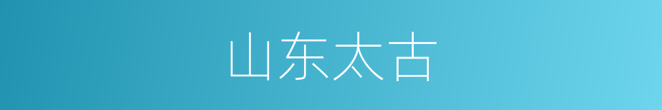 山东太古的同义词