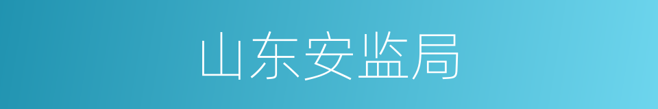 山东安监局的同义词