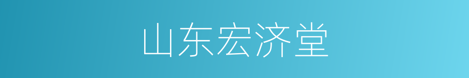 山东宏济堂的同义词