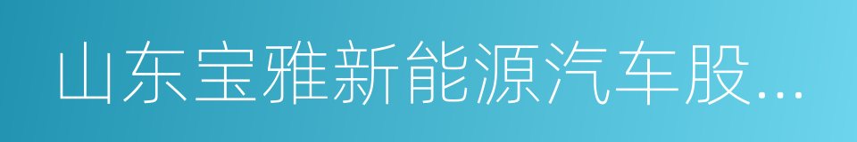 山东宝雅新能源汽车股份有限公司的同义词