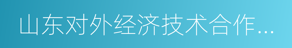 山东对外经济技术合作集团有限公司的同义词